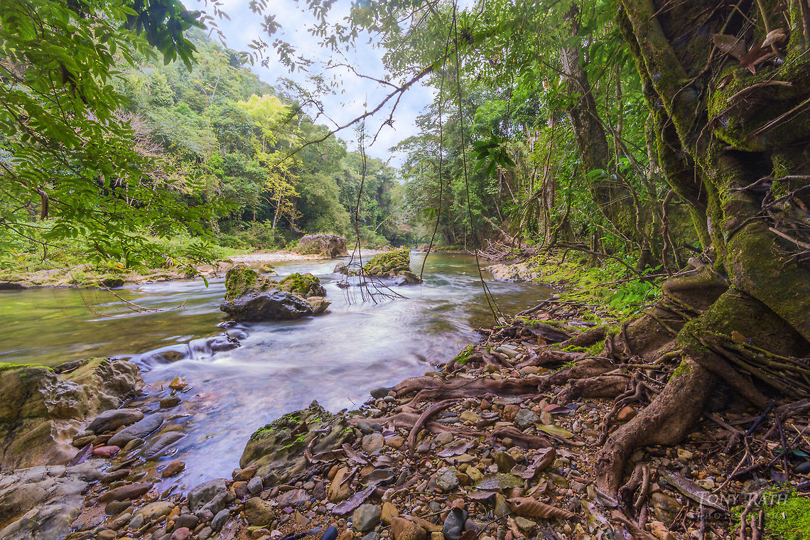 Bladen River Bladen River in the Bladen Nature Reserve, Belize BNR,Belize,Bladen,Bladen Nature Reserve,Ya'axche,Ya'axchè,rainforest