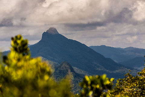 Victoria Peak Victoria Peak from the summit of the Outlier, Belize. Belize,CBWS,Cockscomb Basin Wildlife Sanctuary,Elfin Forest,Outlier