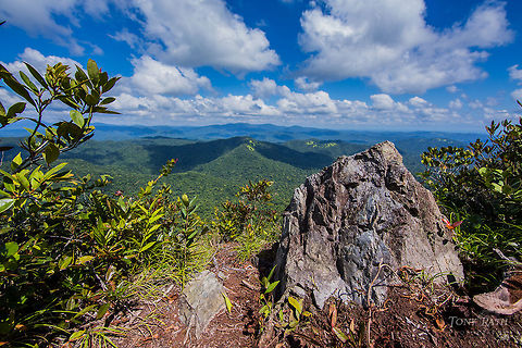 View of jungle from the summit of the Outlier View from Outlier to the north of Cockscomb Basin Wildlife Sanctuary, Belize Belize,CBWS,Cockscomb Basin Wildlife Sanctuary,Elfin Forest,Outlier