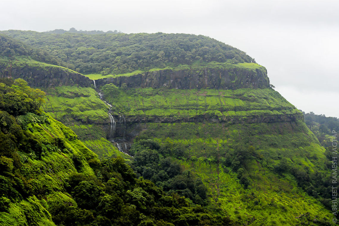 Matheran World heritage site as declared by unesco<br />
home to thousands of animals endemic here.. From snakes, frogs, to insects etc etc.. <br />
And even rare flora.. 18-105,India,Nikkor,Nikon,NikonD5200,abhitap,forests,ghat,ghats,jungle,karjat,landscape,landscapes,maharashtra,matheran,neral,sahyadri,sahyadris,unesco,valley
