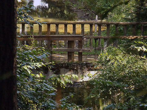 Broken_Boulevard Nestled in a wooded area, this broken concrete bridge caught my eye. Location: Bethlehem, Pa. landscape,nature