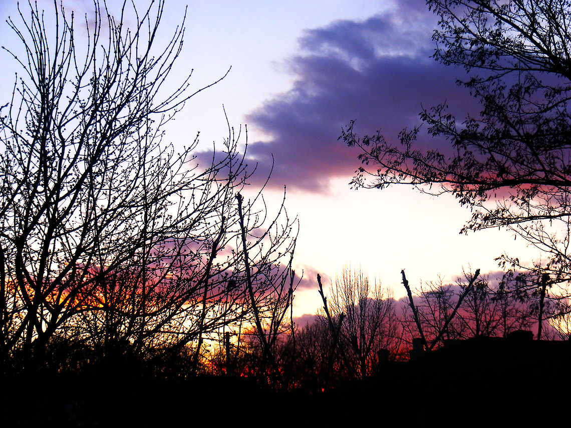 Purple Sunset I actually love the emotions of that photo sends Geotagged,Romania,emotion,nature,purple,sunset