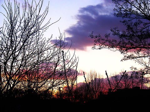 Purple Sunset I actually love the emotions of that photo sends Geotagged,Romania,emotion,nature,purple,sunset