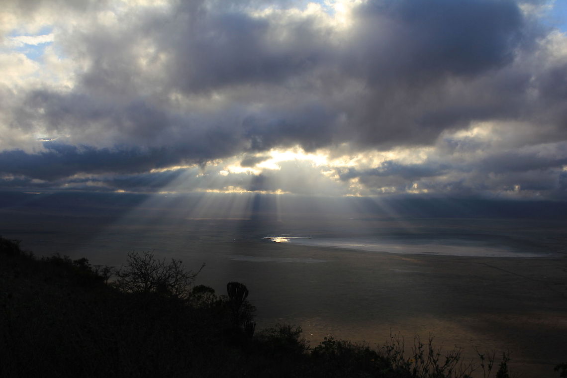 Ngorongoro Bathed in Morning Light... On the way down the crater in early morning light... Geotagged,Ngorongoro Crater,Tanzania