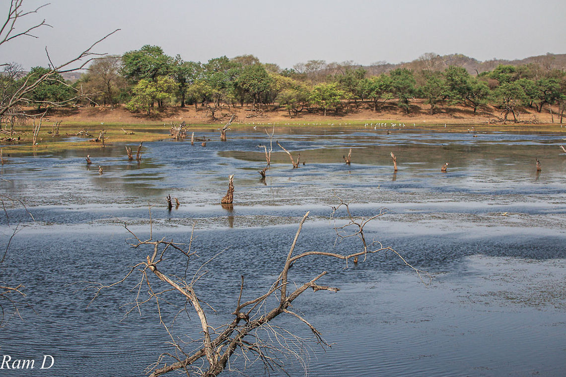 Landscape of Ranthambore NP A view from one of the watering holes... Geotagged,India