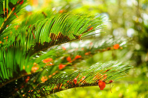 Puerto Rico  Geotagged,Puerto Rico,Spring