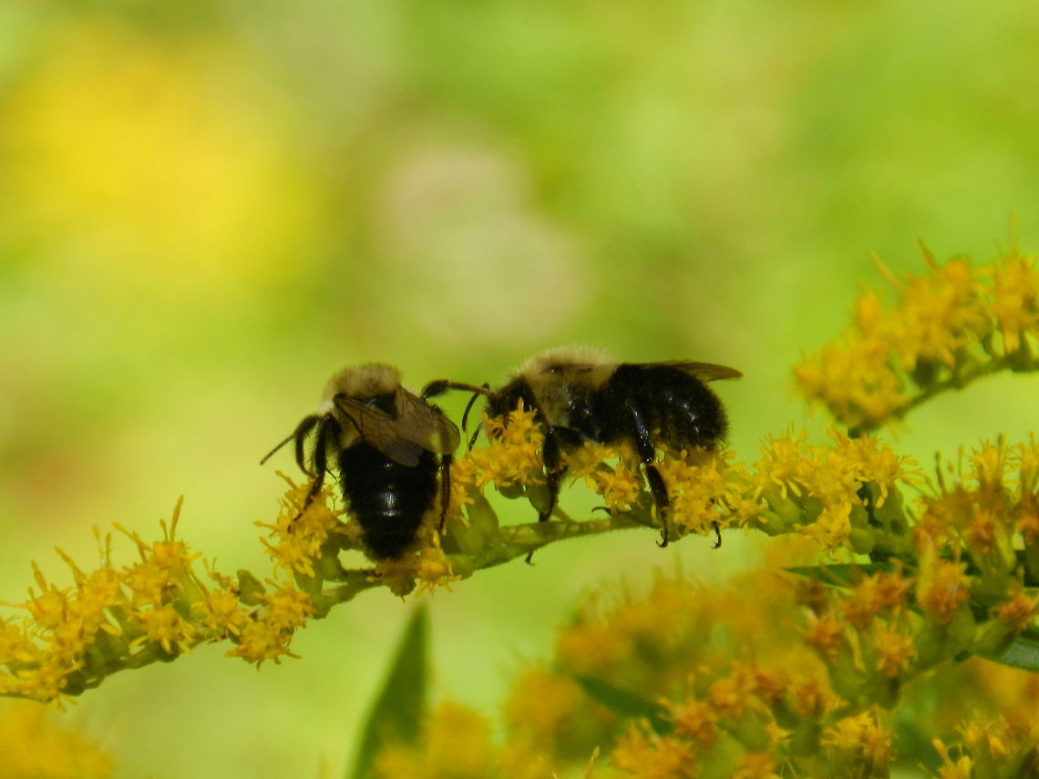 Cooperation  Fall,Geotagged,United States