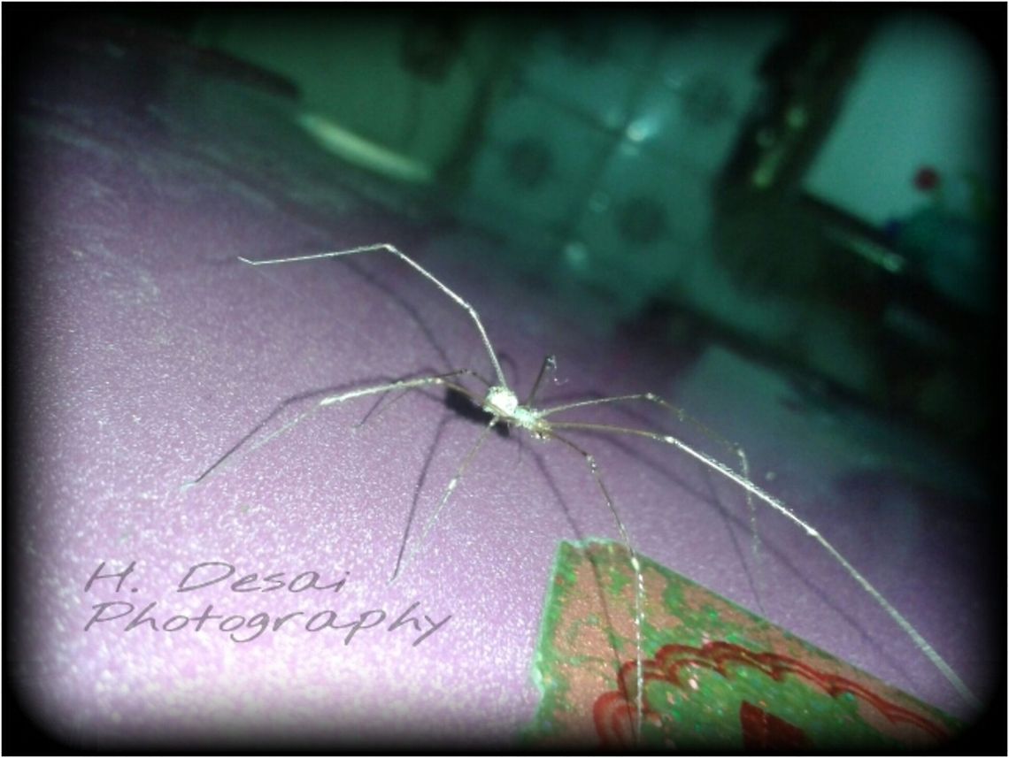 PicsArt_1407309750546[1]