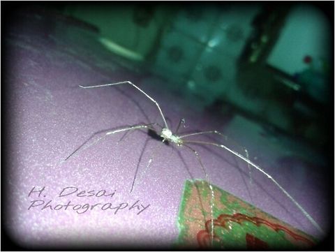 PicsArt_1407309750546[1]