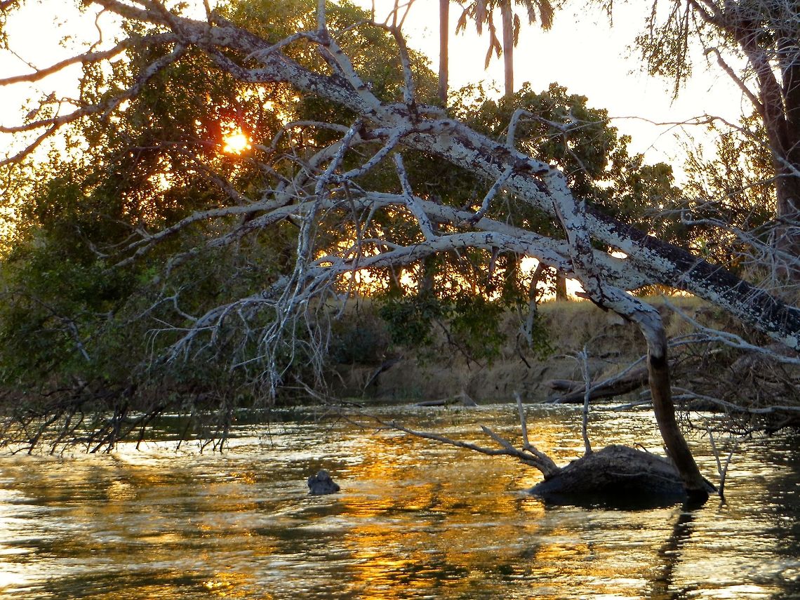 on_Zambezi_River                                 Botswana,Geotagged