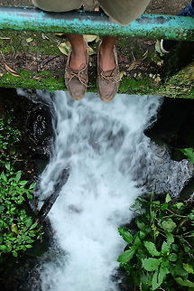 under foot The natural beauty of Indonesia Geotagged,Indonesia