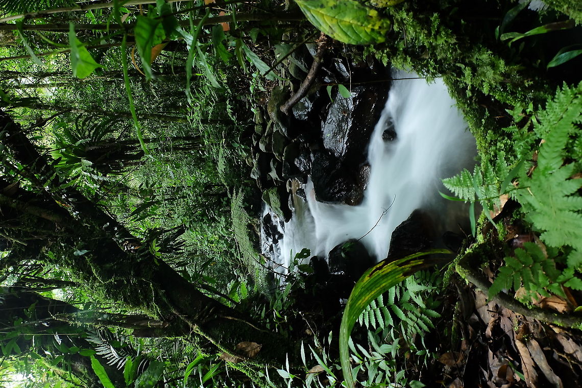 Tropical rainforest The natural beauty of Indonesia Waterfall,indonesia