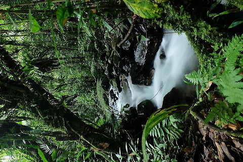Tropical rainforest The natural beauty of Indonesia Waterfall,indonesia