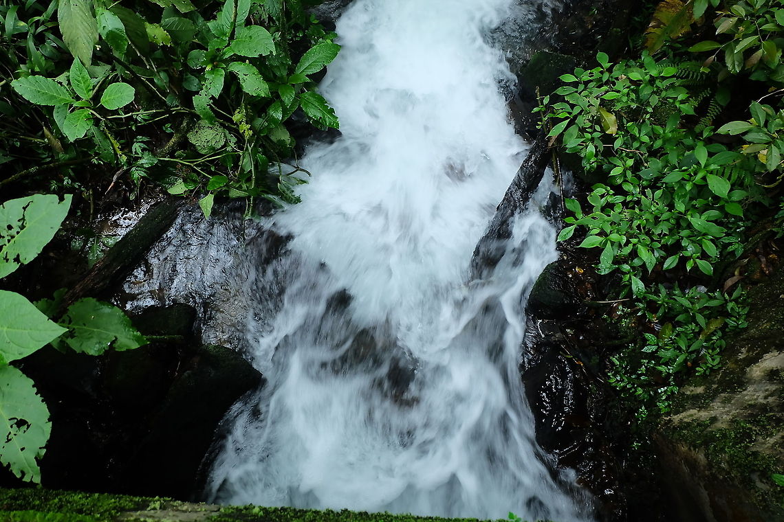 rainforest The natural beauty of Indonesia water