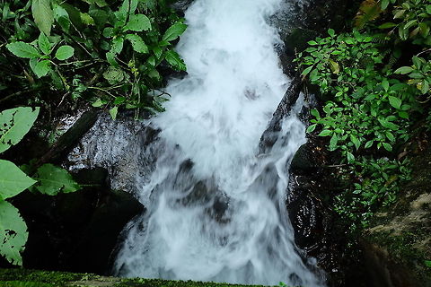 rainforest The natural beauty of Indonesia water