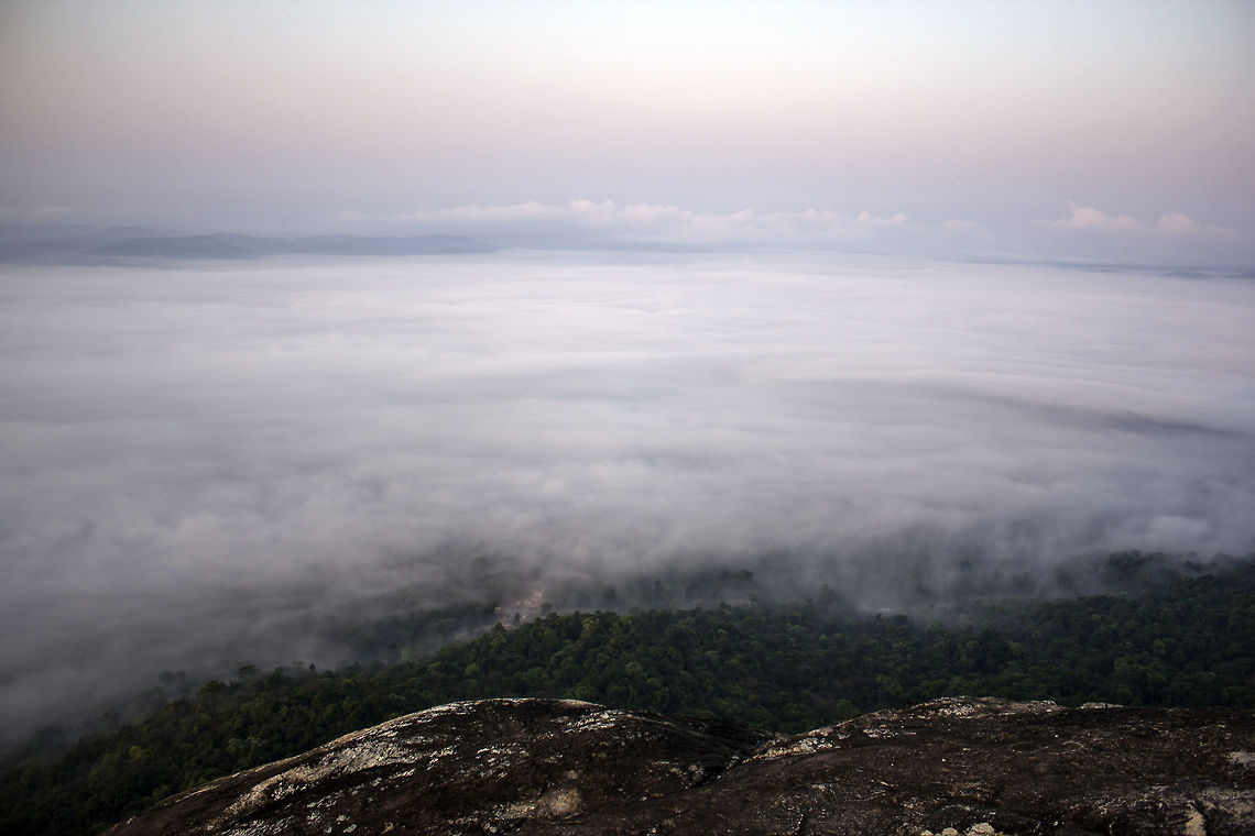 Now I'm gonna get YOU! @ Kundadri Hills, Western Ghats (Agumbe), Karnataka - This was the scene of the dawn, during sunrise, even before the Monsoon! Geotagged,India,agumbe,dawn,fog,green,hill,kundadri hills,mist,sunrise
