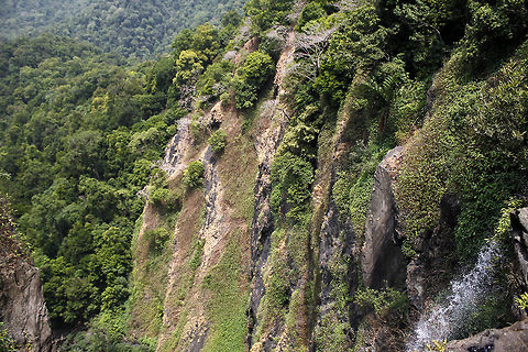 Be where you belong Close up view of the Vonakobbe (Onake Abbi) Waterfall, Agumbe. Geotagged,India,Onake Abbi,Vonakobbe,agumbe,forest,india,karnataka,waterfall,western ghats