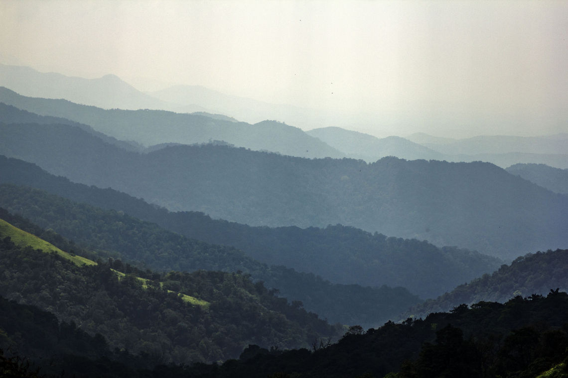 I'll conquer them all, someday.. &quot;ThaDiyanDamoL&quot;, Coorg, Karnataka, India - Famous for its serene landscapes, and a great location to go trekking. Coorg,Geotagged,India,ThaDiyanDamoL,forest,india,trek