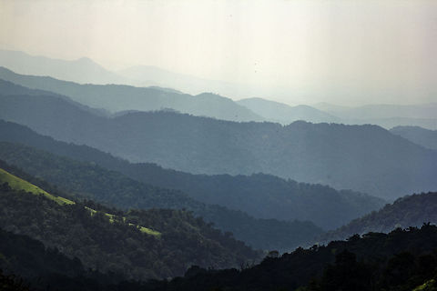 I'll conquer them all, someday.. "ThaDiyanDamoL", Coorg, Karnataka, India - Famous for its serene landscapes, and a great location to go trekking. Coorg,Geotagged,India,ThaDiyanDamoL,forest,india,trek
