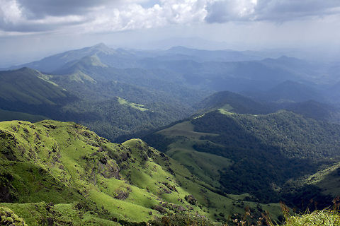 Finally - the summit! Thadiyandamol, Coorg - This is the 2nd tallest mountain range in Karnataka. Tallest point of the trek, from where the whole fleet of other hills are visible through the horizon. The best part - camping is allowed (day / night) for the trekkers on the summit at their own risk, despite the presence of wild Elephants. It can't get any more adventurous than that! Coorg,Geotagged,India,Thadiyandamol,india,karnataka