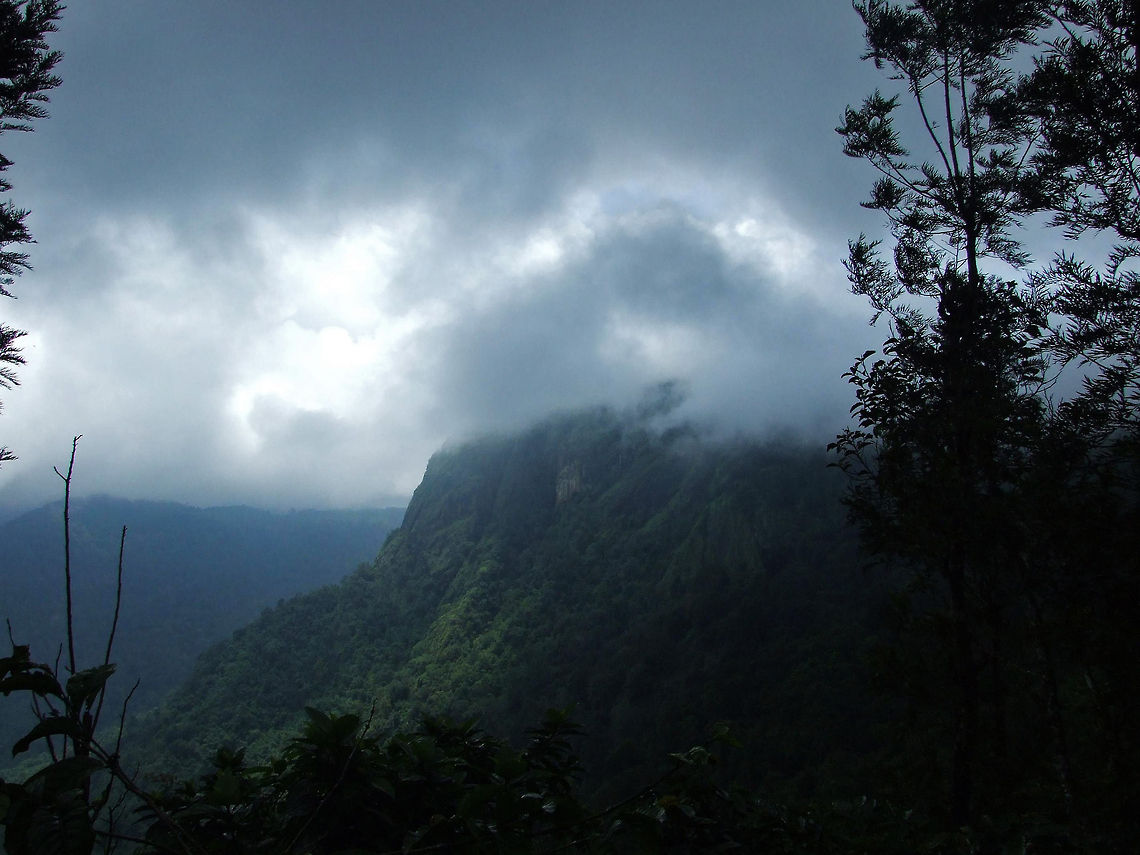 The perfect kiss Descending towards "Meenmutty Falls" - Meenmutty waterfall is located 29 km from Kalpetta in Wayanad District in the state of Kerala, India. It is a three-tiered waterfall with a height of 300 meters. The Meenmutty word says it is where fish gets blocked. Meenmutty is a combination of malayalam words Meen (fish) and Mutty (blocked). Meenmutty Falls, the largest and most spectacular waterfall in the Wayanad District. <br />
<br />
It is Kerala's second largest waterfall and the one most unspoiled in its natural setting. There are various Meenmutty falls in Wayanad. Each of its three tiers requires a separate hike through a moist, deciduous forest. One of them is present in the property of a resort called Banasura Hill Resort. One has to take a deviation at Vellamunda village and go via Pulinjal to reach the Meenmutty falls present there. The path is quiet dangerous and tiresome, but the waterfalls are worth the hike.<br />
<br />
Meenmutty waterfall is considered a dangerous spot. Eight dental college students drowned in 1991. In 2006, four friends drowned while bathing there. in 2012, a boy died during a picnic with his friends.In Oct 2013, two software engineers with TCS also drowned. <br />
<br />
Meenmutty Falls is currently closed to visiting public. This information is current as of May 17, 2014. Visitors are advised check with tourism department before planning the trip to Meenmutty. Banasura Hill Resort,Geotagged,India,bliss,clouds,forest,green,kalpetta,kerala,meenmutty,mountain,water,waterfall