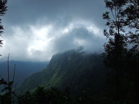 The perfect kiss Descending towards "Meenmutty Falls" - Meenmutty waterfall is located 29 km from Kalpetta in Wayanad District in the state of Kerala, India. It is a three-tiered waterfall with a height of 300 meters. The Meenmutty word says it is where fish gets blocked. Meenmutty is a combination of malayalam words Meen (fish) and Mutty (blocked). Meenmutty Falls, the largest and most spectacular waterfall in the Wayanad District. 

It is Kerala's second largest waterfall and the one most unspoiled in its natural setting. There are various Meenmutty falls in Wayanad. Each of its three tiers requires a separate hike through a moist, deciduous forest. One of them is present in the property of a resort called Banasura Hill Resort. One has to take a deviation at Vellamunda village and go via Pulinjal to reach the Meenmutty falls present there. The path is quiet dangerous and tiresome, but the waterfalls are worth the hike.

Meenmutty waterfall is considered a dangerous spot. Eight dental college students drowned in 1991. In 2006, four friends drowned while bathing there. in 2012, a boy died during a picnic with his friends.In Oct 2013, two software engineers with TCS also drowned. 

Meenmutty Falls is currently closed to visiting public. This information is current as of May 17, 2014. Visitors are advised check with tourism department before planning the trip to Meenmutty. Banasura Hill Resort,Geotagged,India,bliss,clouds,forest,green,kalpetta,kerala,meenmutty,mountain,water,waterfall