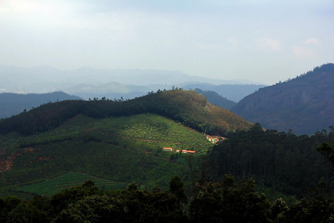 I choose YOU! Scenic beauty on the way to DoDDabeTTa (Ooty, Tamil Nadu).<br />
<br />
Doddabetta is the highest mountain in the Nilgiri Hills at 2,637 metres (8,650 feet). The name 'Doddabetta' traces its roots from the Badaga/Kannada language translating into 'Big Mountain'.<br />
<br />
(Low quality image - downloaded from my account on Facebook) Geotagged,India,big mountain,doddabetta,highest,india,mountain,ooty,peak,tamil nadu
