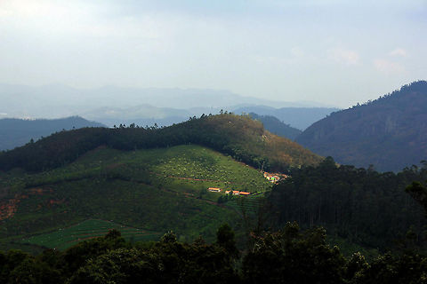 I choose YOU! Scenic beauty on the way to DoDDabeTTa (Ooty, Tamil Nadu).

Doddabetta is the highest mountain in the Nilgiri Hills at 2,637 metres (8,650 feet). The name 'Doddabetta' traces its roots from the Badaga/Kannada language translating into 'Big Mountain'.

(Low quality image - downloaded from my account on Facebook) Geotagged,India,big mountain,doddabetta,highest,india,mountain,ooty,peak,tamil nadu