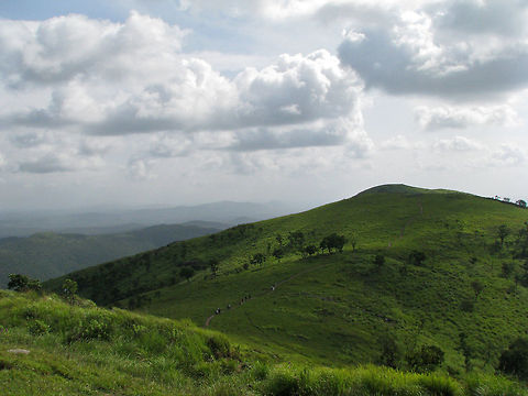 Picturesque Himavad Gopalaswamy Betta - is the highest peak in Bandipur National Park.It attracts a large number of trekkers, pilgrims and nature lovers throughout the year.The hill is about 75 Km from Mysore and is located in Chamarajnagar district.

Himavad Gopalaswamy Betta  is a small hill, in the core zone that can be accessed by a small road through the village of Hangala - north of the national park. Gopalaswamy Betta (betta is hill in Kannada) located inside the forest is a popular trekking spot. Atop the hill is a temple of Lord Venugopala Swamy built seven centuries ago and a travellers&rsquo; bungalow which remains locked now and belonged to the Ruler of Mysore.

The temple was built in Chola regime and there are 25 tirthas called the chakra tirtha.The area is also frequented by herds of wild elephants. The sobriquet Himavad (fog in Kannada) is because most of the year, there is a veil of mist covering the whole  area , and winds blowing through the trees are  like a song in praise of the lord.  Staying beyond 5:30 PM is not allowed and entry is restricted until 6 AM on all days. These hills are covered with grass and classified as shola forests.The forest is also a treasure trove of a variety of birds, animals and plant species. One may visit this place en-route Mysore. 

Wild Elephant herds are frequent visitors to this hill, and one needs to be very cautious to not engage them in order to avoid getting mangled by the jumbo herd(s). Personally, this is my all time favorite places to visit, and I never get tired of the beauty surrounding this hill. I have lot of memories that I credit to this place.

More here:
http://www.karnataka.com/mysore/gopalswamy-betta/ Geotagged,India,bandipur,hill,himawad gopalaswamy betta,india,karnataka,mountain