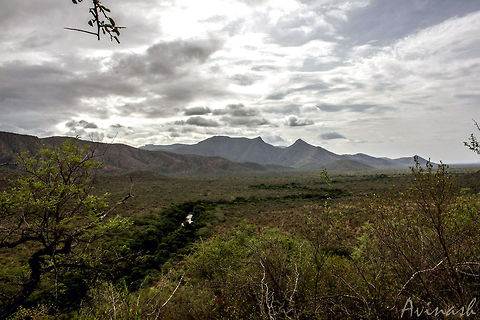 Green Belt Here is a view of the Thengumarahada forest (Northern), where some of my photos got their story from - near the shoreline of the Moyar river we see in the pic, and the area towards the right side of the river.

It is prominent from this picture how a river keeps a jungle alive. Where the water flows, greenery flourishes.

Here is another image showing more land to the right side of the image. Both the images shot from the top of a small hill in the area:
https://scontent-a-sin.xx.fbcdn.net/hphotos-xap1/v/t1.0-9/p480x480/941407_10151537457492449_747590585_n.jpg?oh=f6882a4d366d3e35e8caefab6626ae39&oe=5485DF05

Find the complete story here:
https://www.facebook.com/AviMovingForward/media_set?set=a.10151537455542449.1073741826.600572448&type=3

(Image recovered from my FB account) Geotagged,India,green,india,moyar river,nilgiris east,tamil nadu,thengumarahada,tiger reserve,wild