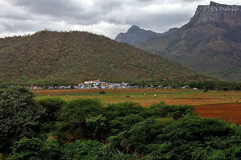 In the jungle, the mighty jungle, the people sleep tonight.. Thengumarahada, Nilgiris East, Tamil Nadu - An introduction, finally!

ThengumarahaDa is a beautiful, remote place with a small village (given as a forest lease by British 100 years ago) that lies at the foothills of "KoDanaDu". The residents of the village are considered as lower caste people by the locals, collectively known as BaDagas. It's around 105 Kms from Ooty, and about 23 Kms from MeTTupaLyam. Although not very far from MeTTupaLyam, it's accessibility is restricted by the transport facilities to the village. One Govt. bus that does 2 rounds a day, and the journey is like a safari, right through the middle of the forest [border of Erode (Satyamangal forest) and Nilgiri East Slope].

After reaching the last stop, you take a small boat to cross the Moyar river, only after which you get to go to the village. The other alternative is to walk inside the forest, provided you know the route, which is highly risky (due to it being a restricted area for people other than locals, and wild animals). There is no private stay available as of now, and the only way to peacefully visit the place is to get permission from the forest department at Ooty, so they could provide you the Govt. Guest house for shelter.

This place is home to wild animals such as Elephants, Tigers, Leopards, Bears, Deers, Blackbucks, Porcupines, etc., that aren't supposedly hard to sight. However, during the dry season, it's extremely hard to spot any of the animals there. Best time to visit is between / around September and October when the place usually receives heavy rainfall, and looks splendid!

One of my best Tiger Census experiences with this place:
As though a bunch of us guys standing on the open trailer of a 4x4 vehicle in the mid-night, travelling inside the forest to reach the govt. guest house wasn't the most amazing experience already, we found out that there was a river we had to cross in order to reach our destination. When we got to the river, we found out that the only way to cross the river was with the vehicle we were standing on!

What happened next? Here is the action you don't want to miss!
https://www.youtube.com/watch?v=AlI8MZUOxSU Geotagged,India,adventure,forest,india,jungle,kodanadu,moyar river,tamil nadu,thengumarahada,tiger reserve,water,wild