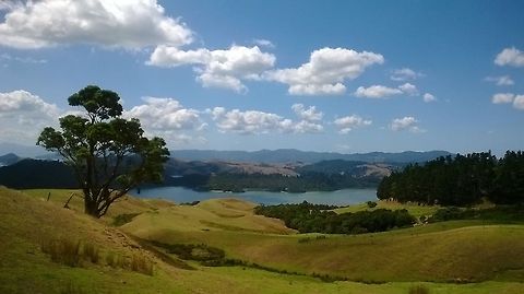 Coromandel  Mountains,New Zealand