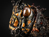 Phymateus saxosus - studio Specimen. The famous, abundantly decorated grasshopper from Madagascar. It has an overall blue color (a bit more dull in this specimen), yellow stripes on the face, yellow speckles on the wing, red bumps on the thorax and fire-like red under-wings.<br />
https://www.jungledragon.com/image/116228/phymateus_saxosus.html<br />
https://www.jungledragon.com/image/116229/phymateus_saxosus_-_wing_detail.html<br />
https://www.jungledragon.com/image/116230/phymateus_saxosus_-_upper_body.html<br />
https://www.jungledragon.com/image/116231/phymateus_saxosus_-_head_side_view.html<br />
https://www.jungledragon.com/image/116232/phymateus_saxosus_-_thorax_and_head.html<br />
https://www.jungledragon.com/image/116233/phymateus_saxosus_-_portrait.html<br />
https://www.jungledragon.com/image/116234/phymateus_saxosus_-_wing_intersection.html<br />
https://www.jungledragon.com/image/116235/phymateus_saxosus_-_studio.html Extreme Macro,Phymateus saxosus,Rainbow Bush Locust