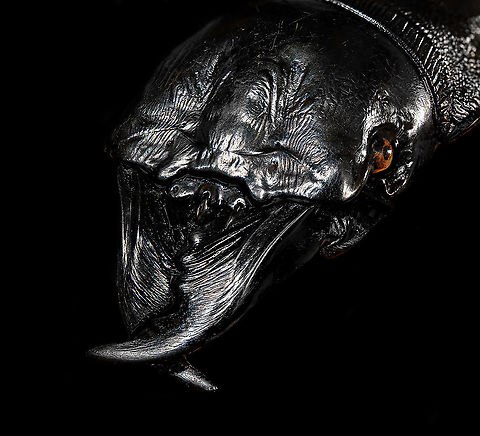 Dinoscaris gallieni - head Specimen at 45mm. Originally from Madagascar, in the very obscure Dinoscaris genus.
The species is pitch black all over whilst also being highly reflective. 

https://www.jungledragon.com/image/117318/dinoscaris_gallieni.html
https://www.jungledragon.com/image/117319/dinoscaris_gallieni_-_side_view.html
https://www.jungledragon.com/image/117320/dinoscaris_gallieni_-_head.html
https://www.jungledragon.com/image/117321/dinoscaris_gallieni_-_frontal.html

As this is somewhat of a worst case example, it might be "fun" to describe the time and steps involved...

First comes cleaning. An insect looking superficially clean is most often extremely dirty when magnified strongly. My first treatment is to submerge it in contact lens cleaner for at least 24 hours. Not only does this remove loose dust particles, it also "attacks" sticky dirt, yet in a way that does not damage the specimen. Furthermore, contact lens cleaner is a softener, it brings back some flexibility to a dried specimen.

On some subjects, in particular beetles, this is not enough to remove the very sticky dirt. In such cases, I escalate the cleaning strategy to Decon90. A chemical used in laboratories to decontaminate surfaces. I dip a small paint brush into Decon90 and paint the subject with it gently. I'll let it be for 30 mins. Then I do it again, but this time using an applicator, actively rubbing the dirty spots. You can't keep Decon90 on a specimen too long, so next I rinse the specimen in plain water. 

To speed up drying, I have a small but powerful fan. This still leaves the problem of trapped water. Drops of water stuck in little ridges of the subject. These create massive artifacts when focus stacking, so I remove them with dry applicators, basically absorbing the water. 

I'll then do a first focus stack test shot. Not to produce an attractive photo, just to inspect the subject in maximum detail. More often then not, I discover new dirt, and have to repeat the Decon90 step.

My final option, not used in this case, is Butylglycol. A solvent used in many industrial and household cleaning products. In pure form, it's highly dangerous, you should avoid any contact with it, avoid breathing it, and don't let its vapor get in your eyes either. 

Next comes the challenge of illuminating something that doesn't want its details resolved. I'll spare you the painful details, but this one required 4 light sources and a total of 6 diffusers. The background is a sheet of Fineshut Pro, one of the darkest (anti-reflection) materials available.

Finally, there's color correction, even though the subject doesn't have any. The many light sources create unwanted color casts (warm and cool ones) that need normalization. 

Altogether it took some work every night of this week just to produce this outcome. Is all of this worth it for such a dull subject and relatively "meh" result? 

Hell yes it is. What kind of a question is that? Dinoscaris gallieni,Extreme Macro