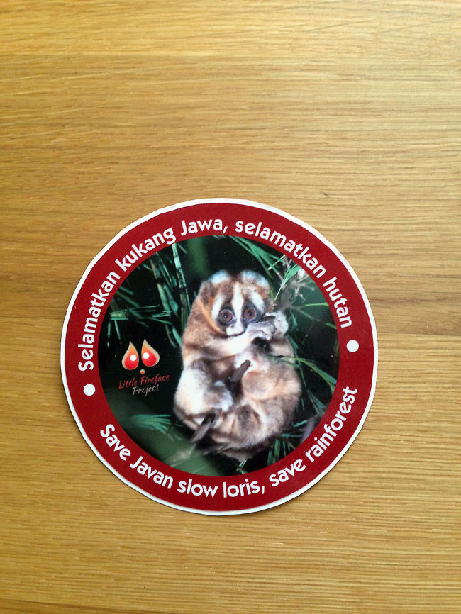 Help the Loris JungleDragon makes a commitment to donate to wildlife for every 1,000 wildlife photos shared here. The last milestone we had a democratic process to decide on the donation target. Ultimately Claire was appointed and proposed to help the Lori. <br />
<br />
I specifically did a direct donation, as we did not want the cause to waste time and money on sending back gifts, instead to actually use it for the Loris. Nevertheless, today at least a sticker arrived to confirm and appreciate the donation. <br />
<br />
Let this sticker be a reminder to you all that for every photo you share here, you do not only let other members enjoy them, you're also bringing us closer to the next donation. What other site does that? None, so keep sharing :) Donations,Geotagged,Javan slow loris,Nycticebus javanicus,The Netherlands
