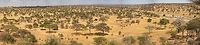 Epic mega panorama of Tarangire River, Tanzania This photo is quite special from a technical perspective. It consists of 15 x 36MP portrait images, stitched into a mega panorama. The resulting file was over 4GB, which is the TIF limit. I had to reduce the resolution to keep it workable, yet it still is 30,000 pixels wide, and in total about 200MP in size.<br />
<br />
What is cool about this photo is that it allows for a very deep zoom, and given the scene, there is a lot to discover. You'll find many species hidden in this scene if you zoom and pan around. Here's some instructions on how to get the most out of it:<br />
1) Preferably, view this at the biggest screen you have<br />
2) Be a member of JungleDragon, and be signed in<br />
3) Click the photo to open it fullscreen<br />
4) Click the little "eye" icon in the top right navigation and wait for the original to load<br />
5) Use your mouse wheel to zoom in and out, and drag to pan around<br />
<br />
Note that this may slow down or crash your browser.<br />
<br />
How about we make a game of this? Post the species names you find in this photo in the comments :) Africa,Panorama,Tanzania,Tarangire,Tarangire National Park