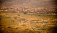 Ngorongoro Crater floor detail - 1 A view from the Ngorongoro crater edge, 600m above the crater floor. As you can see, the crater floor is very flat. The black dots are Wildebeests, Zebras and a few Buffalos. You can be sure that this view contains hundreds more species less visible from this distance.<br />
<br />
This scene also shows the sand road in the top area of the image, which is used by rangers and tourists.  Africa,Ngorongoro,Ngorongoro Crater,Serengeti area,Tanzania