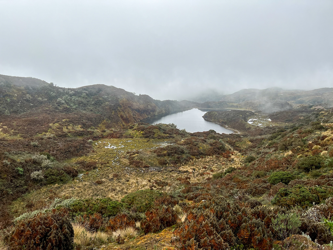 Coca Ecological Reserve Páramo, Ecuador At about 4,100m. A harsh but beautiful landscape. Cayambe Coca Ecological Reserve,Ecuador,Ecuador 2021,Geotagged,Páramo,South America,Spring,World