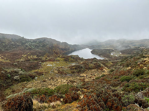 Coca Ecological Reserve P&aacute;ramo, Ecuador At about 4,100m. A harsh but beautiful landscape. Cayambe Coca Ecological Reserve,Ecuador,Ecuador 2021,Geotagged,P&aacute;ramo,South America,Spring,World