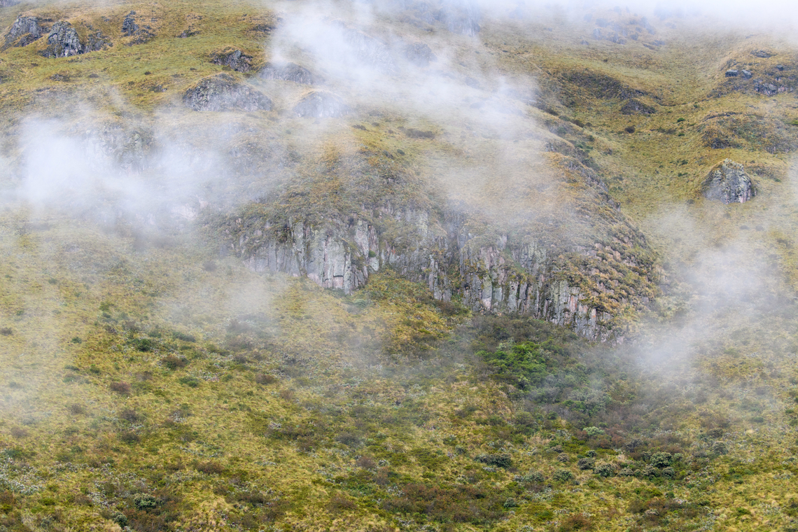 Cayambe Coca Ecological Reserve landscape 2, Ecuador Our visit to this location was unplanned, just something to fill up the remains of a transit day. Hereby ending this coverage with a few raw P&aacute;ramo landscapes.<br />
<figure class="photo"><a href="https://www.jungledragon.com/image/132363/cayambe_coca_ecological_reserve_landscape_1_ecuador.html" title="Cayambe Coca Ecological Reserve landscape 1, Ecuador"><img src="https://s3.amazonaws.com/media.jungledragon.com/images/2/132363_thumb.jpg?AWSAccessKeyId=05GMT0V3GWVNE7GGM1R2&Expires=1767225610&Signature=bjteJ3AA8FOR2Z6ZHrKu9FbMW2k%3D" width="200" height="134" alt="Cayambe Coca Ecological Reserve landscape 1, Ecuador Our visit to this location was unplanned, just something to fill up the remains of a transit day. Hereby ending this coverage with a few raw P&aacute;ramo landscapes.<br />
https://www.jungledragon.com/image/132364/cayambe_coca_ecological_reserve_landscape_2_ecuador.html<br />
https://www.jungledragon.com/image/132365/cayambe_coca_ecological_reserve_landscape_3_ecuador.html Cayambe Coca Ecological Reserve,Ecuador,Ecuador 2021,Geotagged,South America,Spring,World" /></a></figure><br />
<figure class="photo"><a href="https://www.jungledragon.com/image/132365/cayambe_coca_ecological_reserve_landscape_3_ecuador.html" title="Cayambe Coca Ecological Reserve landscape 3, Ecuador"><img src="https://s3.amazonaws.com/media.jungledragon.com/images/2/132365_thumb.jpg?AWSAccessKeyId=05GMT0V3GWVNE7GGM1R2&Expires=1767225610&Signature=nkH2uHJdAqCXlySxDfImEWm7h68%3D" width="200" height="134" alt="Cayambe Coca Ecological Reserve landscape 3, Ecuador Our visit to this location was unplanned, just something to fill up the remains of a transit day. Hereby ending this coverage with a few raw P&aacute;ramo landscapes.<br />
https://www.jungledragon.com/image/132363/cayambe_coca_ecological_reserve_landscape_1_ecuador.html<br />
https://www.jungledragon.com/image/132364/cayambe_coca_ecological_reserve_landscape_2_ecuador.html Cayambe Coca Ecological Reserve,Ecuador,Ecuador 2021,Geotagged,South America,Spring,World" /></a></figure> Cayambe Coca Ecological Reserve,Ecuador,Ecuador 2021,Geotagged,South America,Spring,World