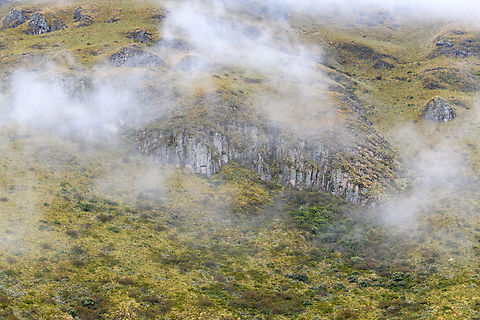 Cayambe Coca Ecological Reserve landscape 2, Ecuador Our visit to this location was unplanned, just something to fill up the remains of a transit day. Hereby ending this coverage with a few raw P&aacute;ramo landscapes.
https://www.jungledragon.com/image/132363/cayambe_coca_ecological_reserve_landscape_1_ecuador.html
https://www.jungledragon.com/image/132365/cayambe_coca_ecological_reserve_landscape_3_ecuador.html Cayambe Coca Ecological Reserve,Ecuador,Ecuador 2021,Geotagged,South America,Spring,World