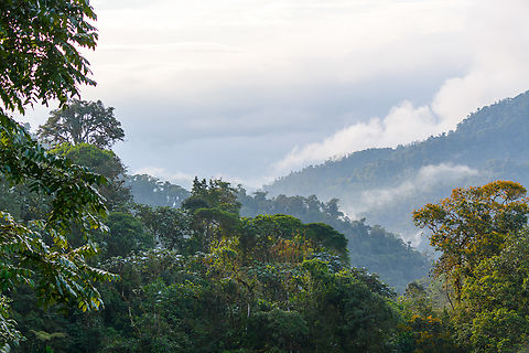 Los Cedros Cloud Forest Reserve scenery, Ecuador Only later did we learn that a relatively clear view like this is not to be taken for granted at this place. Ecuador,Ecuador 2021,Fall,Geotagged,Los Cedros Reserve,South America,World