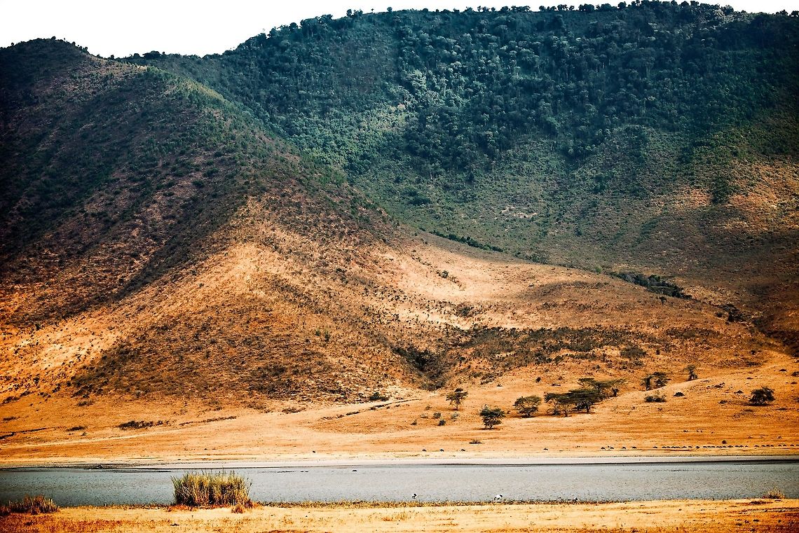 Ngorongoro crater edge This photo gives an impression of the Ngorongoro crater edge. Note the small string of dots right after the river to the right. That&#039;s a group of Wildebeests. The crater edge is about 600m above the crater floor, from where this photo is taken. Impressive as the crater edge is, in its volcano days it was 5km high. Africa,Geotagged,Ngorongoro,Ngorongoro Crater,Serengeti area,Tanzania
