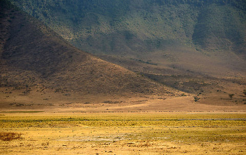 Wildebeests passing through the vast Ngorongoro crater - 2 This is another shot best experienced in fullscreen mode on a large screen. Only then will you be able to see the Wildebeests compared to the vastness of the landscape. The landscape in this case is the Ngorongoro crater edge, as seen from the crater floor. Africa,Ngorongoro,Ngorongoro Crater,Serengeti area,Tanzania