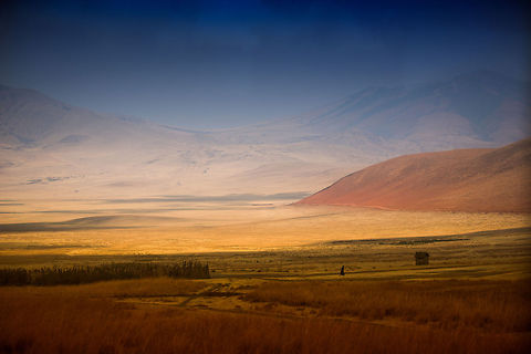 Outside the Ngorongoro crater - south side In the front you can see a Masai walking towards a traditional "house". The background is the Ngorongoro crater edge. Africa,Serengeti Central,Serengeti National Park,Serengeti area,Tanzania
