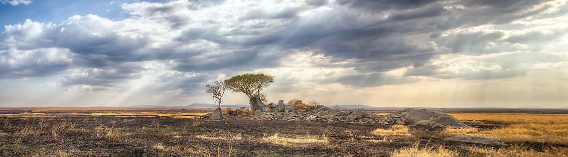 Central Serengeti Kopje (panorama) These &quot;kopjes&quot; are exposed volcanic formations that have many functions in the Serengeti ecosystem. Most commonly it is a hiding place for several species, including lions, who sometimes hide their cubs.  Africa,Geotagged,Serengeti Central,Serengeti National Park,Serengeti area,Tanzania
