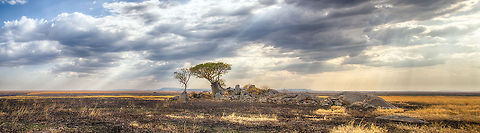 Central Serengeti Kopje (panorama) These "kopjes" are exposed volcanic formations that have many functions in the Serengeti ecosystem. Most commonly it is a hiding place for several species, including lions, who sometimes hide their cubs.  Africa,Geotagged,Serengeti Central,Serengeti National Park,Serengeti area,Tanzania
