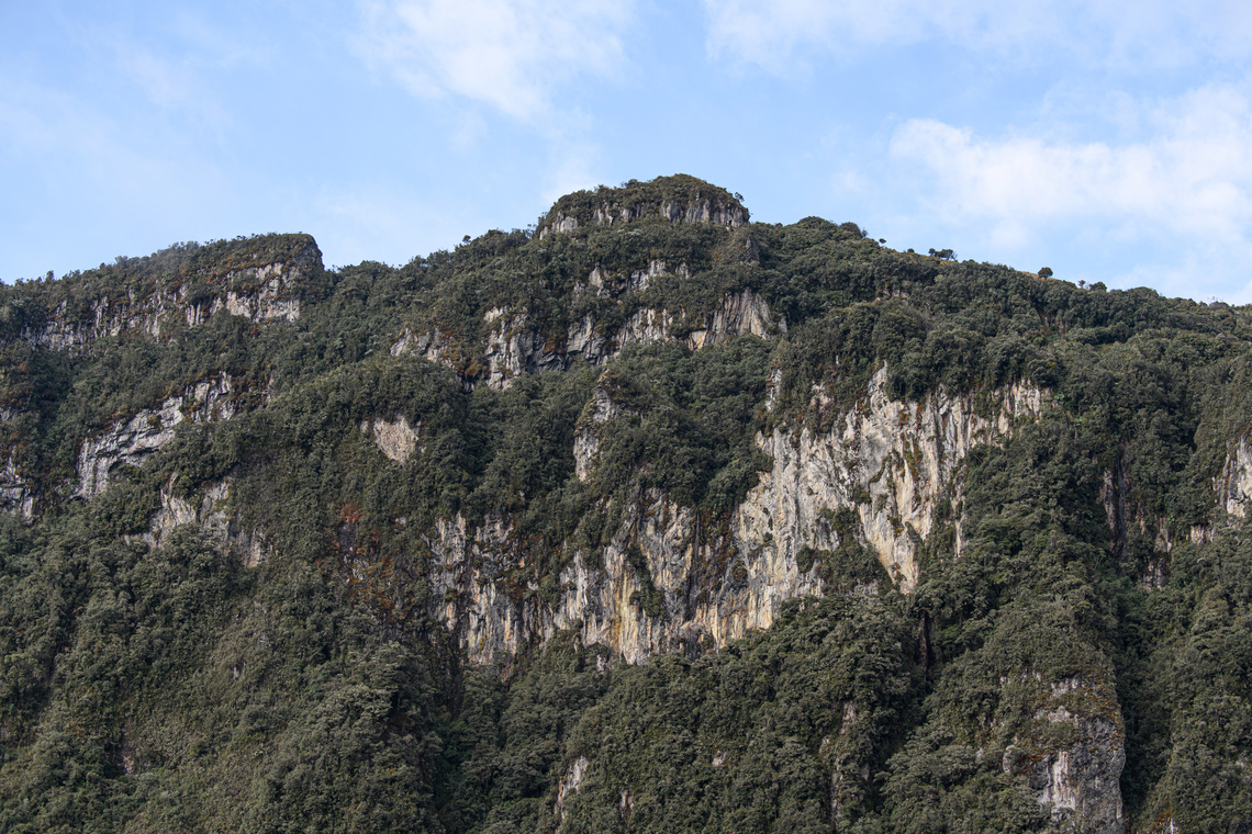 Termales del Ruiz outlook, Colombia Scenery from the backside of Termales del Ruiz, showing some original P&aacute;ramo forest. Colombia,Colombia 2022,Fall,Geotagged,P&aacute;ramo,South America,Termales del Ruiz,World