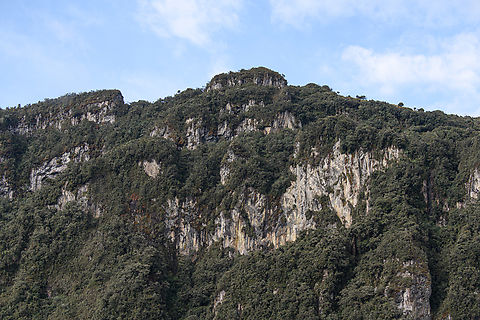 Termales del Ruiz outlook, Colombia Scenery from the backside of Termales del Ruiz, showing some original P&aacute;ramo forest. Colombia,Colombia 2022,Fall,Geotagged,P&aacute;ramo,South America,Termales del Ruiz,World