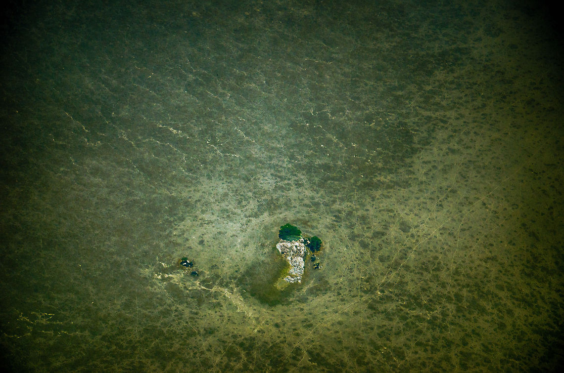 Top view of a "Kopje", Tanzania Aerial shot top view of a kopje, which is an isolated rock formation that appears in an otherwise flat plain. These kopjes play a central role in the Serengeti eco system, being a source of shelter in a very hostile environment. In this photo I tried to highlight how much of a safe haven it is, with nowhere else to hide anywhere near. Africa,Serengeti North,Serengeti area,Tanzania